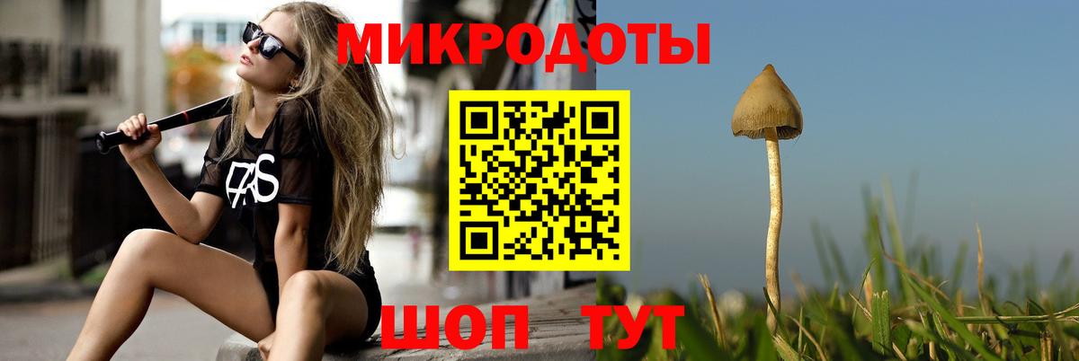 Псилоцибиновые грибы ЛСД  где купить наркоту  Галлюциногенные грибы GOLDEN TEACHER  Ангарск  Вход с VPN 